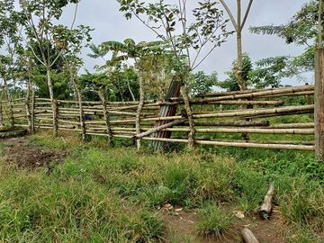SE VENDE FINCA AGRÍCOLA 5,6 HECTAREAS,  PUERTO QUITO – PICHINCHA - ECUADOR