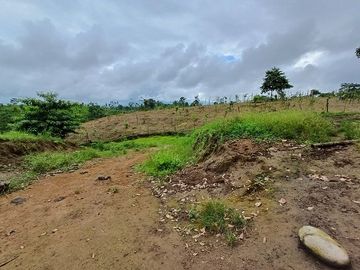 SE VENDE FINCA AGRÍCOLA 5,6 HECTAREAS,  PUERTO QUITO – PICHINCHA - ECUADOR