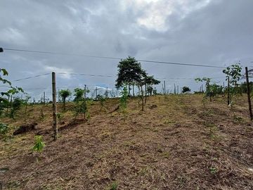 SE VENDE FINCA AGRÍCOLA 5,6 HECTAREAS,  PUERTO QUITO – PICHINCHA - ECUADOR