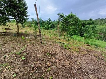 SE VENDE FINCA AGRÍCOLA 5,6 HECTAREAS,  PUERTO QUITO – PICHINCHA - ECUADOR