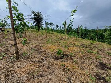 SE VENDE FINCA AGRÍCOLA 5,6 HECTAREAS,  PUERTO QUITO – PICHINCHA - ECUADOR