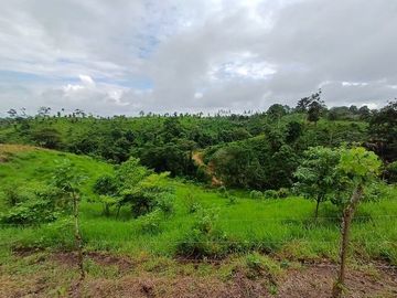 SE VENDE FINCA AGRÍCOLA 5,6 HECTAREAS,  PUERTO QUITO – PICHINCHA - ECUADOR
