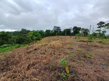SE VENDE FINCA AGRÍCOLA 5,6 HECTAREAS,  PUERTO QUITO – PICHINCHA - ECUADOR