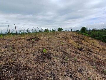 SE VENDE FINCA AGRÍCOLA 5,6 HECTAREAS,  PUERTO QUITO – PICHINCHA - ECUADOR