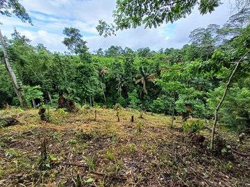 SE VENDE FINCA AGRÍCOLA 5,6 HECTAREAS,  PUERTO QUITO – PICHINCHA - ECUADOR