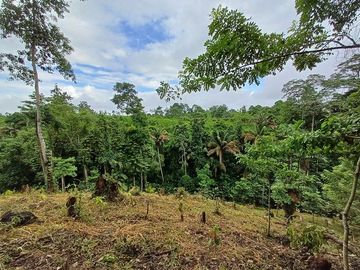 SE VENDE FINCA AGRÍCOLA 5,6 HECTAREAS,  PUERTO QUITO – PICHINCHA - ECUADOR