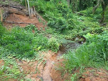 SE VENDE FINCA AGRÍCOLA 5,6 HECTAREAS,  PUERTO QUITO – PICHINCHA - ECUADOR