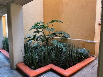 Departamento en Venta, San Andrés Tetepilco, Ciudad de México