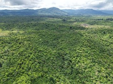 SE VENDE FINCA (PALMA AFRICANA MUERTA) 76,68 HAS.  MALIMPIA – QUININDÉ – ESMERALDAS - ECUADOR