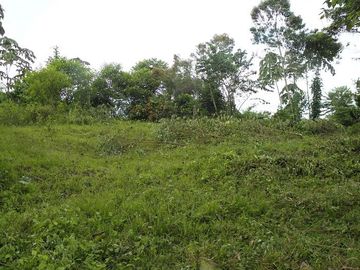 SE VENDE FINCA (PALMA AFRICANA MUERTA) 76,68 HAS.  MALIMPIA – QUININDÉ – ESMERALDAS - ECUADOR