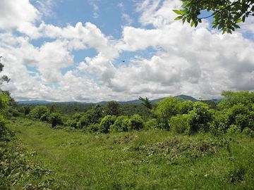 SE VENDE FINCA (PALMA AFRICANA MUERTA) 76,68 HAS.  MALIMPIA – QUININDÉ – ESMERALDAS - ECUADOR