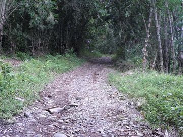 SE VENDE FINCA (PALMA AFRICANA MUERTA) 76,68 HAS.  MALIMPIA – QUININDÉ – ESMERALDAS - ECUADOR