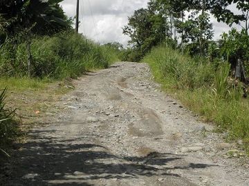 SE VENDE FINCA (PALMA AFRICANA MUERTA) 76,68 HAS.  MALIMPIA – QUININDÉ – ESMERALDAS - ECUADOR