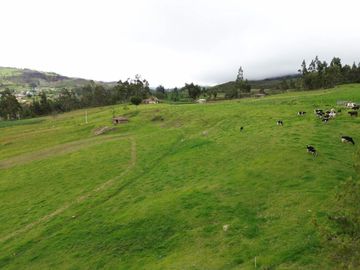 Hacienda Ganadera en Nabón en Venta