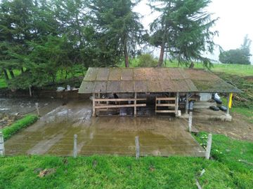 Hacienda Ganadera en Nabón en Venta