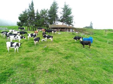 Hacienda Ganadera en Nabón en Venta