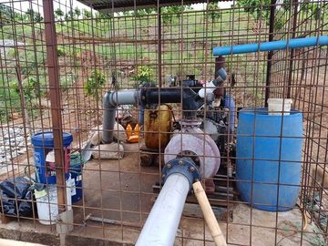 SE VENDE HERMOSA FINCA CACAOTERA 16 HAS.  LA SAIBA – VIA MOCACHE – VINCES – LOS RIOS - ECUADOR