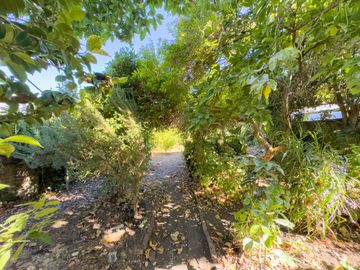 Casa en Penco ∙ Venta $265.000.000