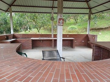 SE VENDE FINCA AGRICOLA EN PRODUCCIÓN 104 HAS.  LA VIRGENCITA - LA UNIÓN - QUININDÉ - ESMERALDAS - ECUADOR