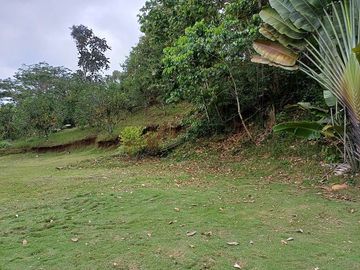 SE VENDE FINCA AGRICOLA EN PRODUCCIÓN 104 HAS.  LA VIRGENCITA - LA UNIÓN - QUININDÉ - ESMERALDAS - ECUADOR
