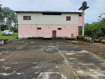 SE VENDE FINCA AGRICOLA EN PRODUCCIÓN 104 HAS.  LA VIRGENCITA - LA UNIÓN - QUININDÉ - ESMERALDAS - ECUADOR