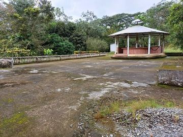 SE VENDE FINCA AGRICOLA EN PRODUCCIÓN 104 HAS.  LA VIRGENCITA - LA UNIÓN - QUININDÉ - ESMERALDAS - ECUADOR