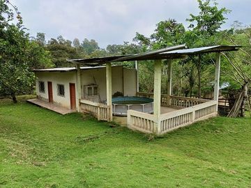 SE VENDE FINCA AGRICOLA EN PRODUCCIÓN 104 HAS.  LA VIRGENCITA - LA UNIÓN - QUININDÉ - ESMERALDAS - ECUADOR