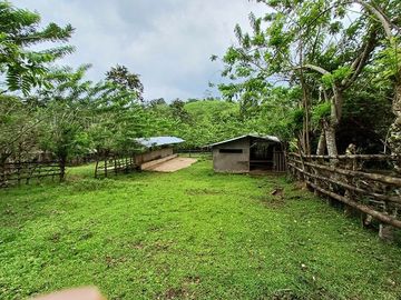 SE VENDE FINCA AGRICOLA EN PRODUCCIÓN 104 HAS.  LA VIRGENCITA - LA UNIÓN - QUININDÉ - ESMERALDAS - ECUADOR