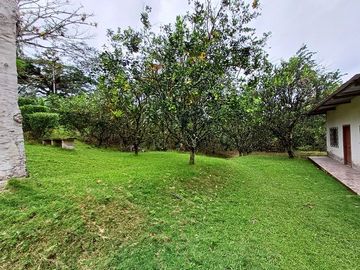SE VENDE FINCA AGRICOLA EN PRODUCCIÓN 104 HAS.  LA VIRGENCITA - LA UNIÓN - QUININDÉ - ESMERALDAS - ECUADOR