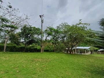 SE VENDE FINCA AGRICOLA EN PRODUCCIÓN 104 HAS.  LA VIRGENCITA - LA UNIÓN - QUININDÉ - ESMERALDAS - ECUADOR