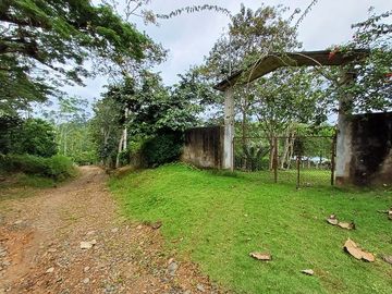 SE VENDE FINCA AGRICOLA EN PRODUCCIÓN 104 HAS.  LA VIRGENCITA - LA UNIÓN - QUININDÉ - ESMERALDAS - ECUADOR