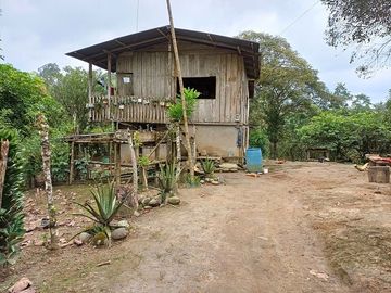 SE VENDE FINCA AGRICOLA EN PRODUCCIÓN 104 HAS.  LA VIRGENCITA - LA UNIÓN - QUININDÉ - ESMERALDAS - ECUADOR