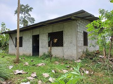 SE VENDE FINCA AGRICOLA EN PRODUCCIÓN 104 HAS.  LA VIRGENCITA - LA UNIÓN - QUININDÉ - ESMERALDAS - ECUADOR