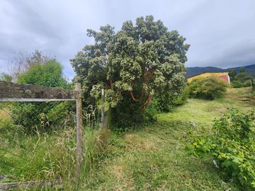 VENDO PROPIEDAD EN JUAN JOSE LATORRE N° 88 DE PUERTO CHACABUCO,  REGION DE AYSEN