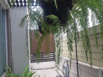 88633 - ขายบ้านแฝดหมู่บ้านเดอะฟลอเรส ฮิลล์ (The Forest Hill ) บ่อวิน-ศรีราชา