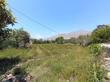 TERRENO EN VENTA - LUNAHUANÁ, CAÑETE