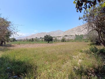 TERRENO EN VENTA - LUNAHUANÁ, CAÑETE