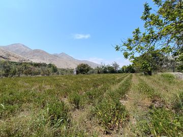 TERRENO EN VENTA - LUNAHUANÁ, CAÑETE
