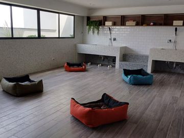 🏠 ALQUILER DE DEPARTAMENTO JESUS MARIA
