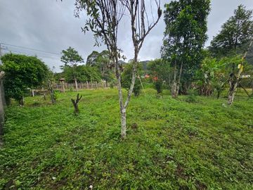 VENTA DE TERRENO DE 600 M² EN EL BARRIO INDUSTRIAL - VILLA RICA, OXAPAMPA