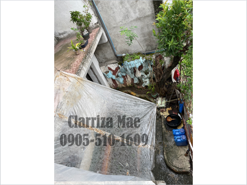 HOUSE AND LOT FOR SALE IN NATIVIDAD SUBDIVISION PH1, DEPARO CALOOCAN CITY
