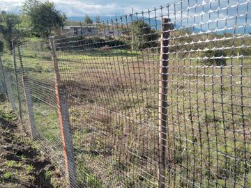 TERRENO EN VENTA EN AMBATO HUACHI GRANDE BARRIO EL PARAISO 1803.55 m2