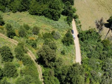 Parcela en Los Muermos de 2,27 hectáreas, Alto Cañitas – Región de Los Lagos