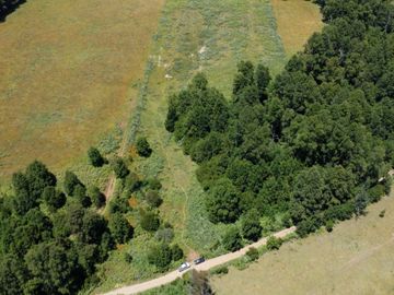 Parcela en Los Muermos de 2,27 hectáreas, Alto Cañitas – Región de Los Lagos
