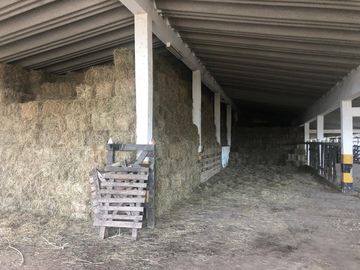Hacienda Agroindustrial y Ganadera
