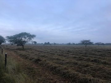Hacienda Agroindustrial y Ganadera