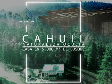 Casa De Madera Con Finas Terminaciones En Bosque De Cahuil