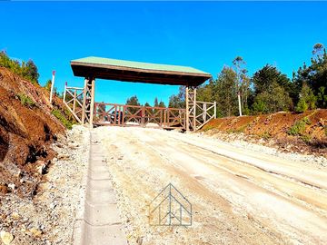 Casa De Madera Con Finas Terminaciones En Bosque De Cahuil