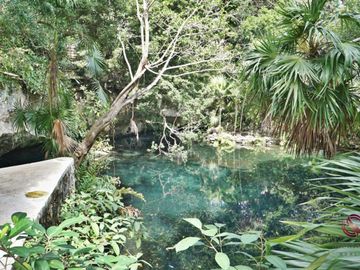 Apartamento cerca del mar, lock off, rodeado de naturaleza, venta, Sirenis, Tulum