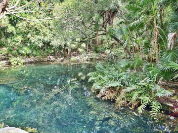 Apartamento cerca del mar, lock off, rodeado de naturaleza, venta, Sirenis, Tulum